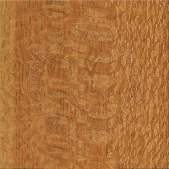 Натуральный шпон Лайсвуд [Lacewood], размер 300х210х0,6мм